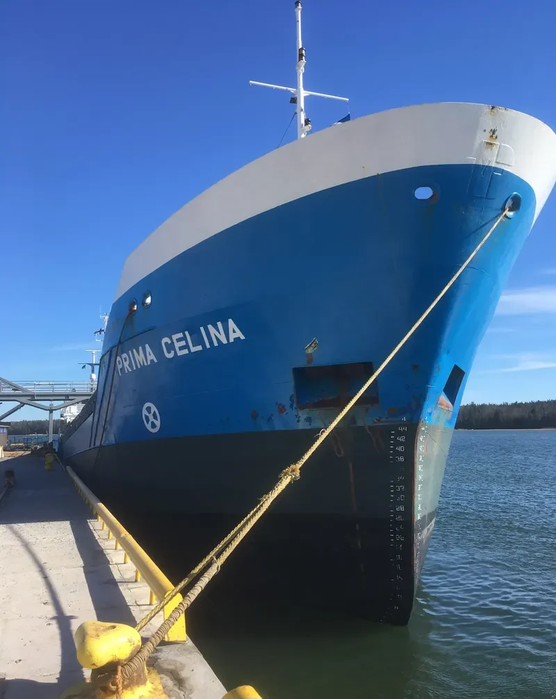PRIMA CELINA General Cargo IMO 9030230 photo 7