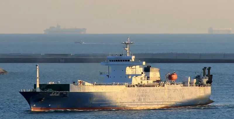 SUN RIO General Cargo IMO 9030644 photo 10