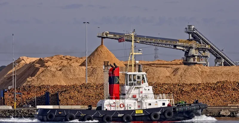 CAPE GRANT General Cargo IMO 9030668 photo 3