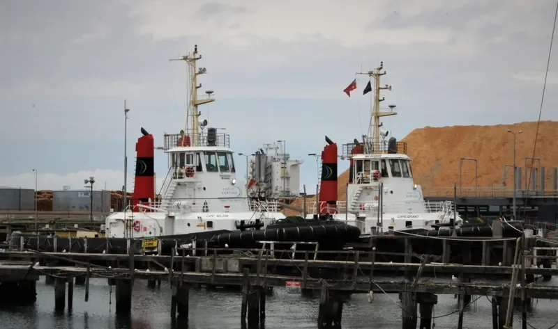 CAPE GRANT General Cargo IMO 9030668 photo 6