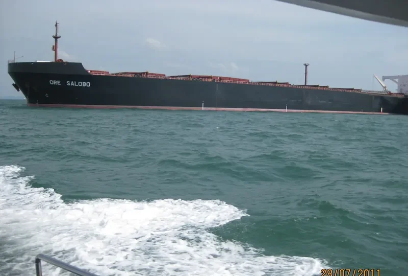 STELLAR LIBERTY Bulk Carrier IMO 9030955 photo 2