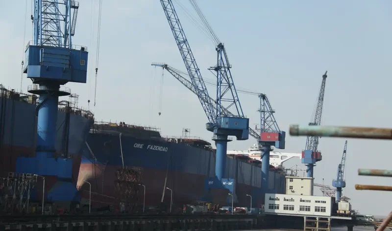 STELLAR SAMBA Bulk Carrier IMO 9030967 photo 5