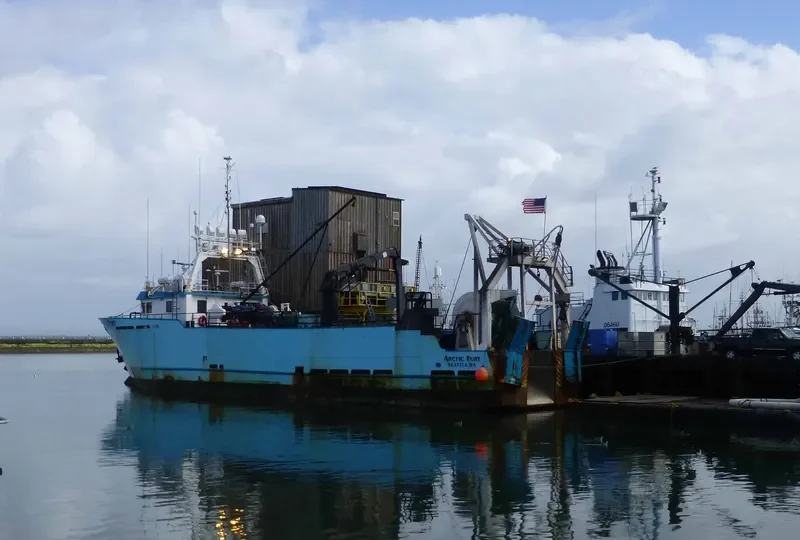 ARCTIC FURY General Cargo IMO 9031325 photo 4