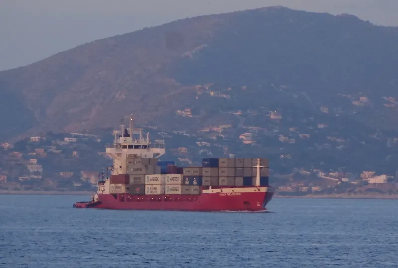ROMY BELIEVER Container Ship IMO 9031454