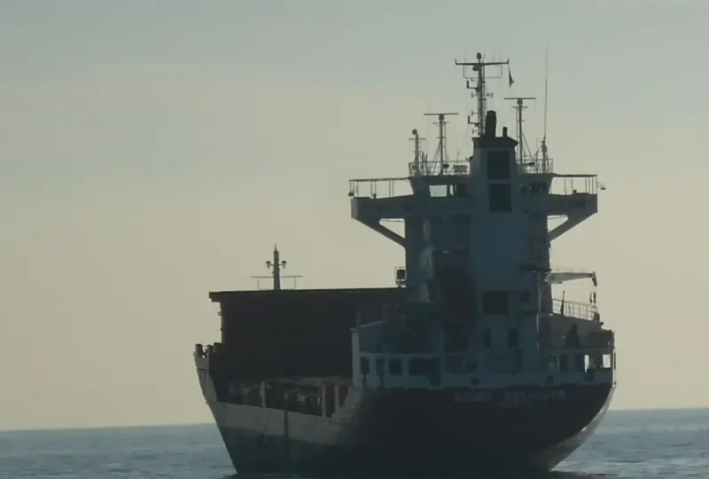 ROMY BELIEVER Container Ship IMO 9031454 photo 6