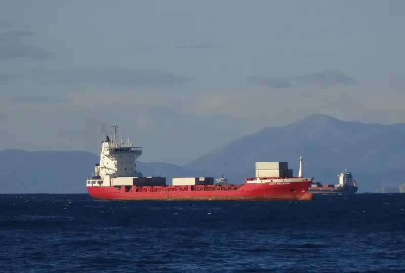ROMY BELIEVER Container Ship IMO 9031454 photo 10