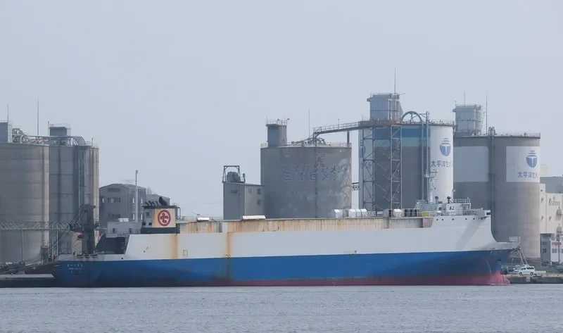 SUNGWOO YJ Ro-Ro IMO 9031789 photo 3