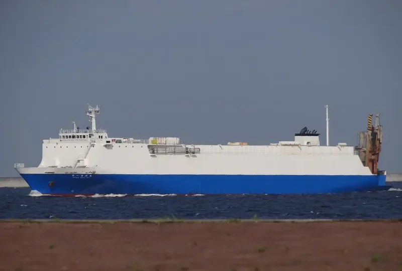 SUNGWOO YJ Ro-Ro IMO 9031789 photo 8