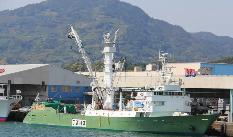 TOKIWA MARU NO.18 General Cargo IMO 9031923 photo 9