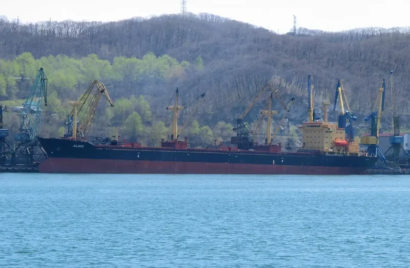 ABM LEADER Bulk Carrier IMO 9032056 photo 7