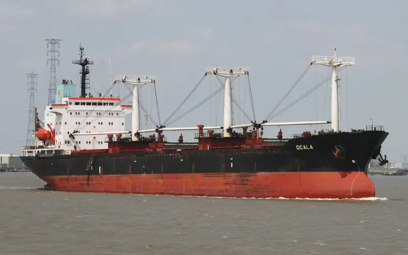ABM CHALLENGER Bulk Carrier IMO 9032068 photo 5