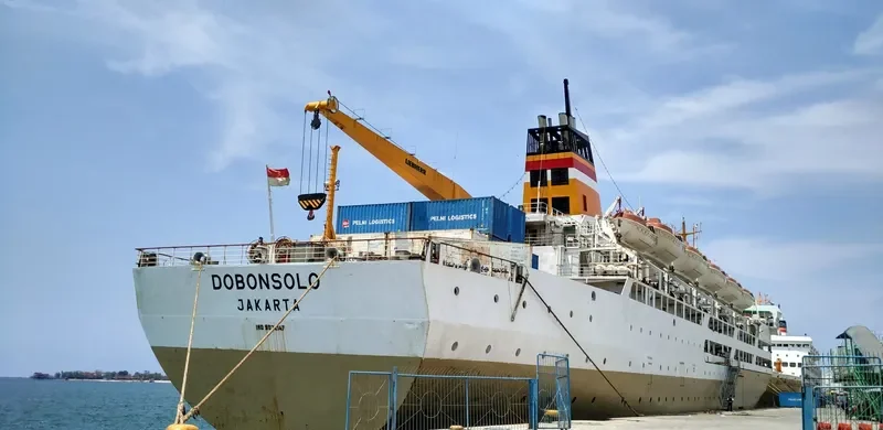 DOBONSOLO Passenger Ship IMO 9032147 photo 2