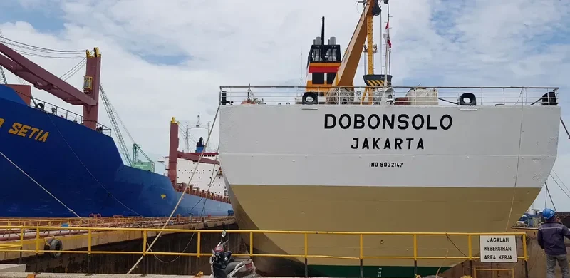 DOBONSOLO Passenger Ship IMO 9032147 photo 9