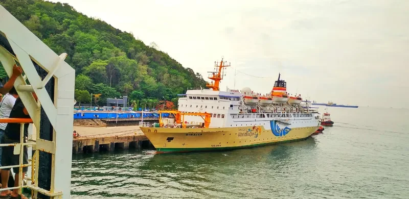 BINAIYA Passenger Ship IMO 9032161 photo 2