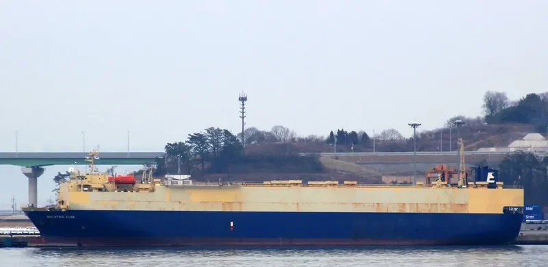 MALAYSIA STAR General Cargo IMO 9032331 photo 8