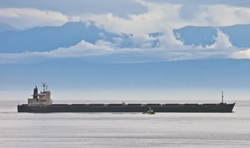 COLLONGES Bulk Carrier IMO 9032551 photo 2