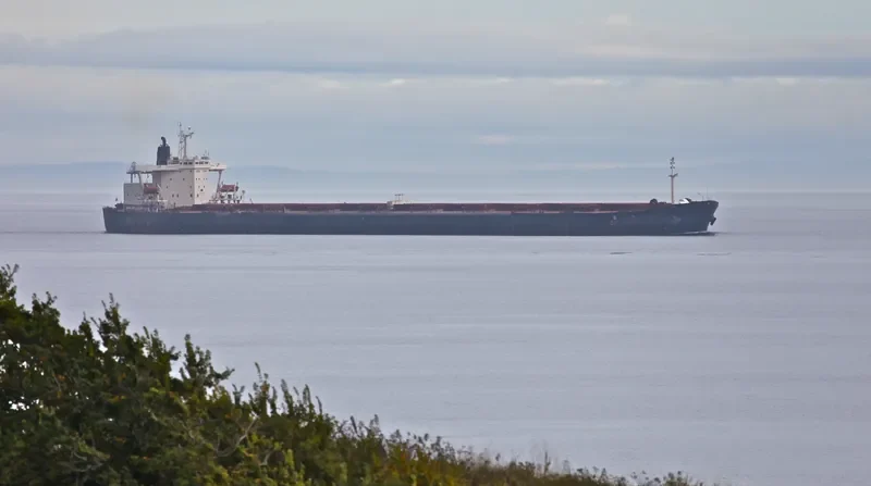 COLLONGES Bulk Carrier IMO 9032551 photo 3