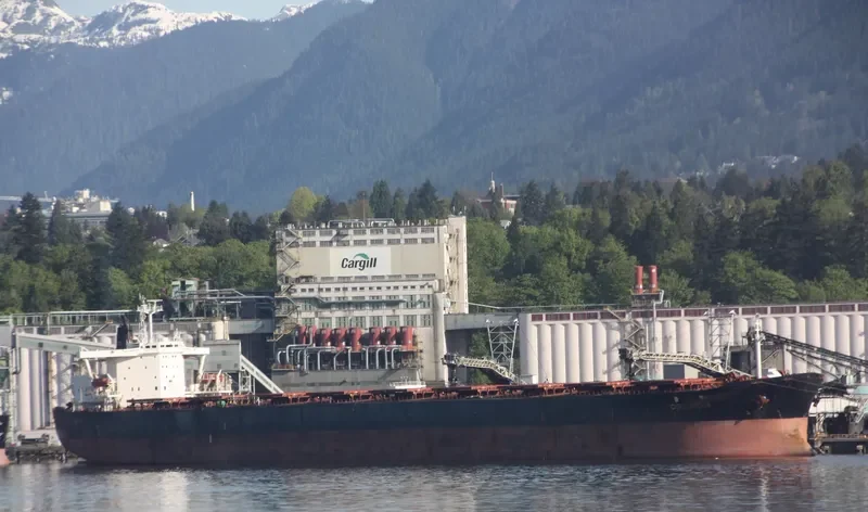 COLLONGES Bulk Carrier IMO 9032551 photo 5