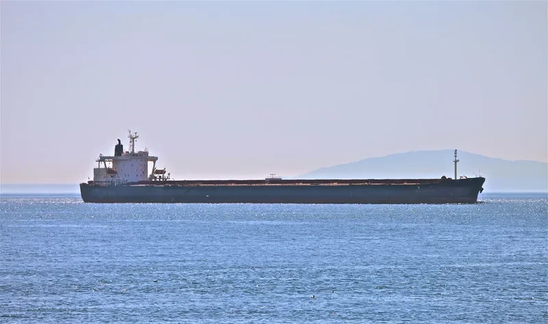 COLLONGES Bulk Carrier IMO 9032551 photo 7