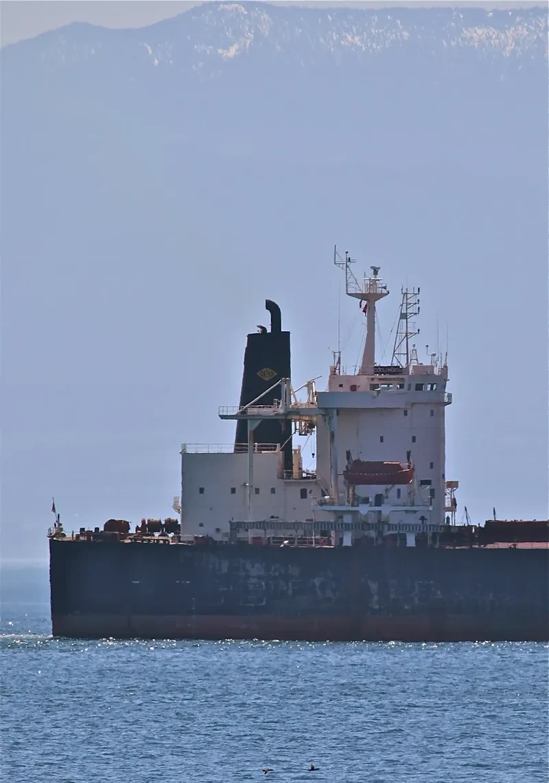 COLLONGES Bulk Carrier IMO 9032551 photo 9