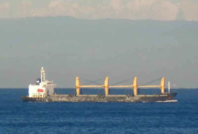 XIN XIANG AN Bulk Carrier IMO 9032692 photo 6