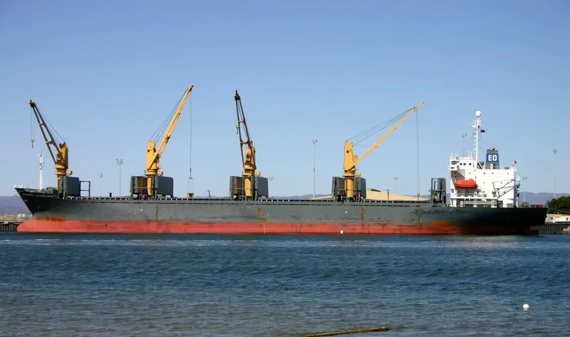 XIN XIANG RUI Bulk Carrier IMO 9032707 photo 2