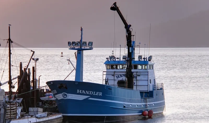 HANDLER General Cargo IMO 9032812 photo 2
