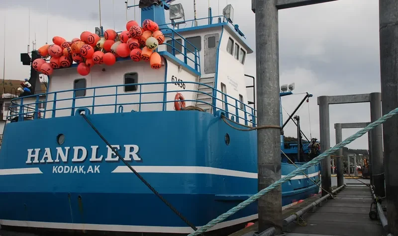 HANDLER General Cargo IMO 9032812 photo 3