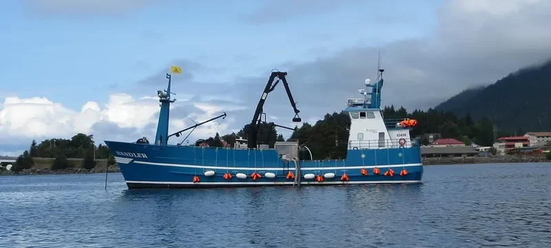 HANDLER General Cargo IMO 9032812 photo 6