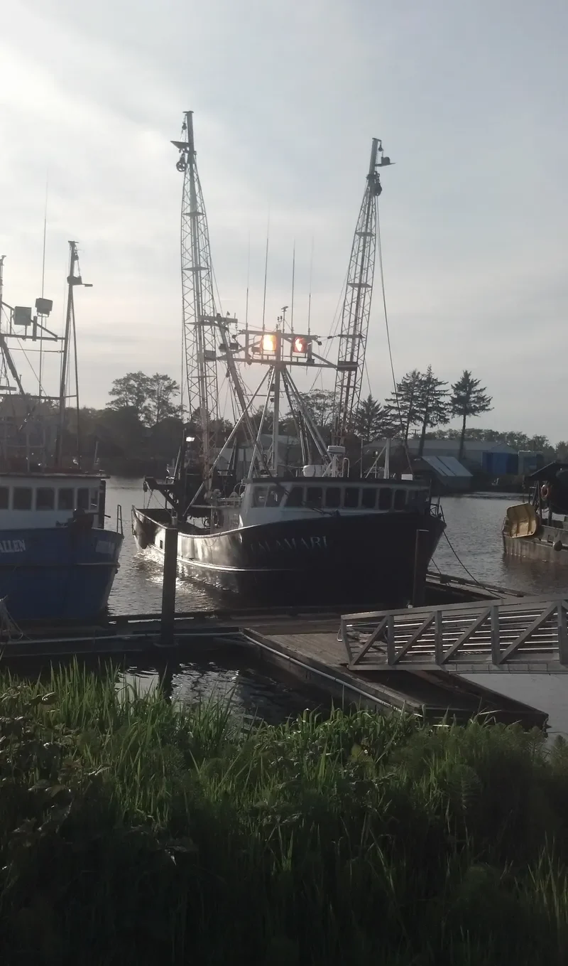 CALAMARI General Cargo IMO 9032848 photo 3