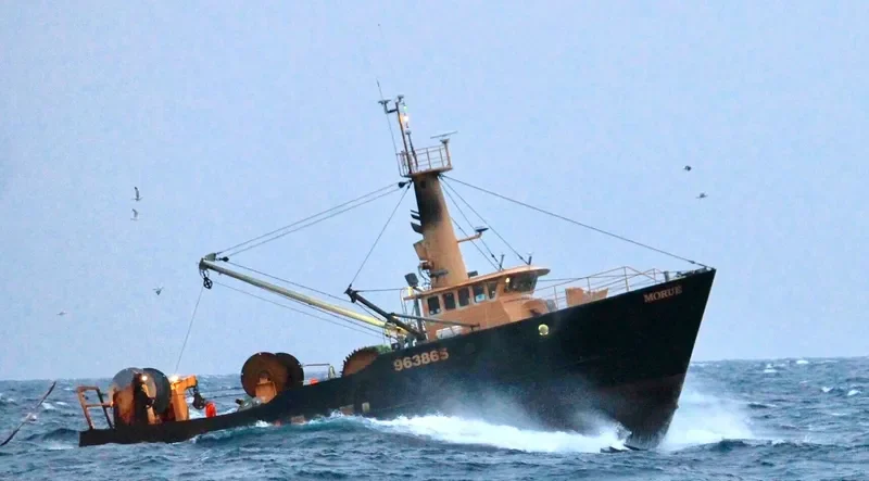 MORUE General Cargo IMO 9032862 photo 2