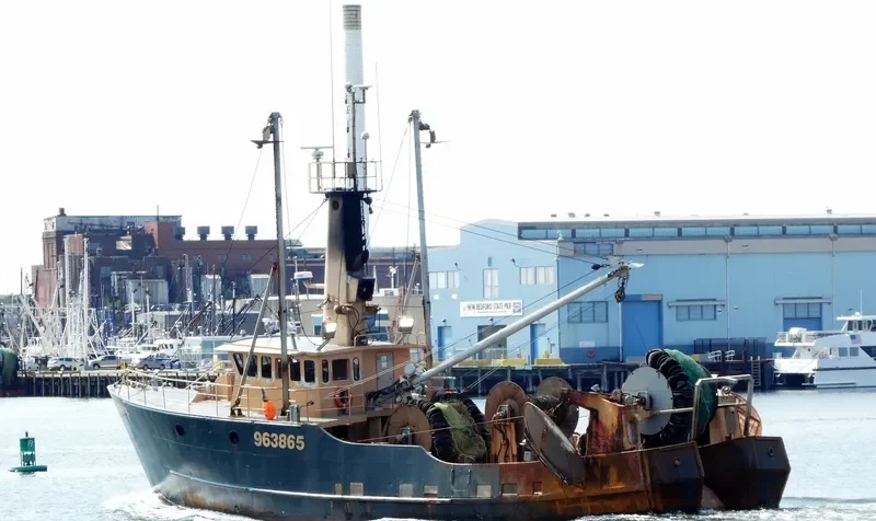 MORUE General Cargo IMO 9032862 photo 3