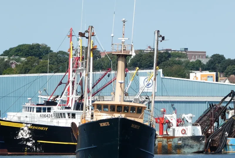 MORUE General Cargo IMO 9032862 photo 4
