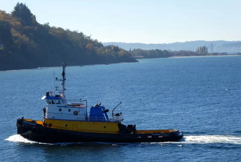 WESTERN NAVIGATOR General Cargo IMO 9032953 photo 2