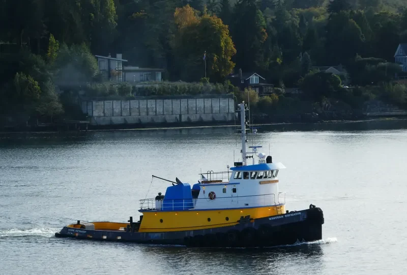 WESTERN NAVIGATOR General Cargo IMO 9032953 photo 6