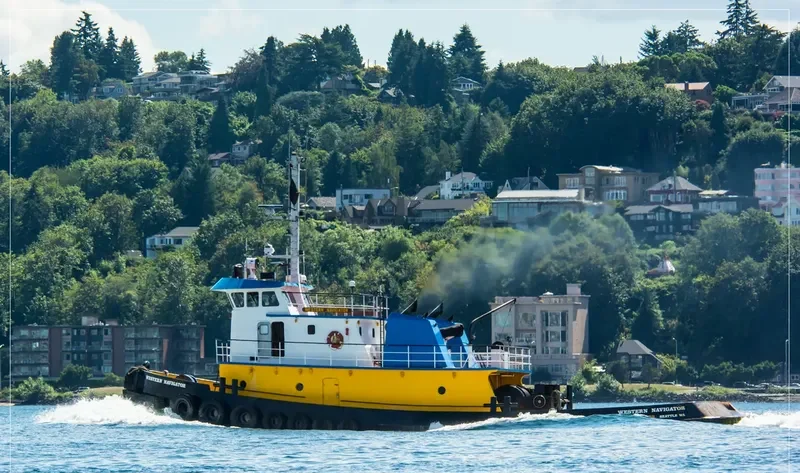 WESTERN NAVIGATOR General Cargo IMO 9032953 photo 7