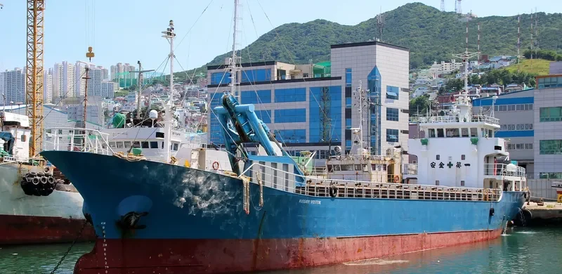 RUSSKIY VOSTOK General Cargo IMO 9033048 photo 2