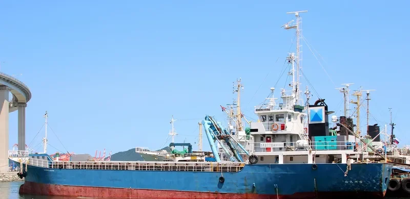 RUSSKIY VOSTOK General Cargo IMO 9033048 photo 3