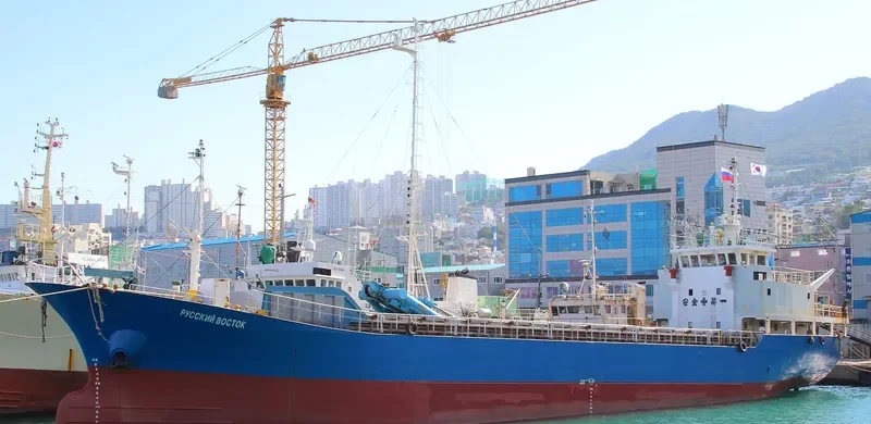 RUSSKIY VOSTOK General Cargo IMO 9033048 photo 9