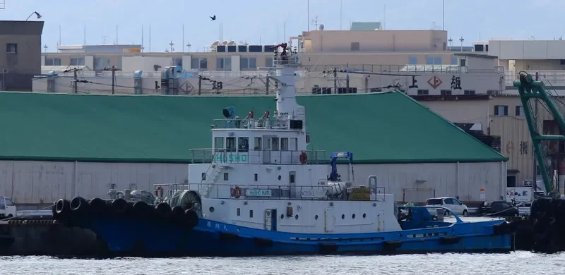 HOSHO MARU General Cargo IMO 9033103 photo 6