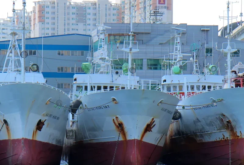 HIVACH General Cargo IMO 9033141 photo 3