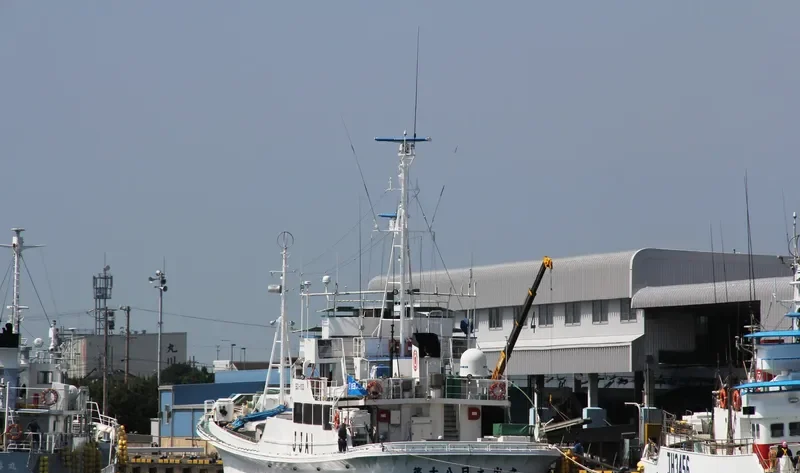 HINODE MARU NO.18 General Cargo IMO 9033294 photo 2