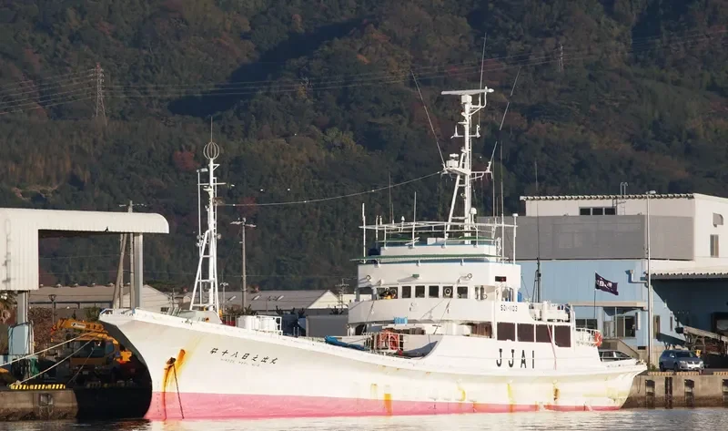 HINODE MARU NO.18 General Cargo IMO 9033294 photo 7