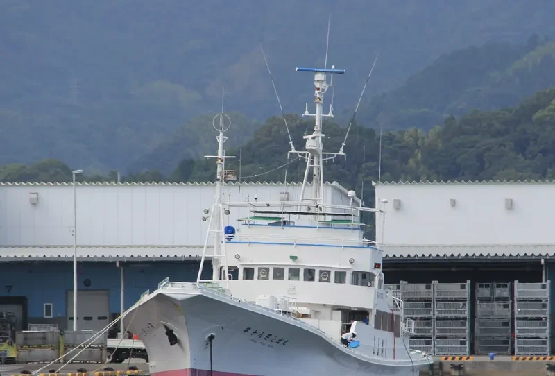 HINODE MARU NO.18 General Cargo IMO 9033294 photo 8
