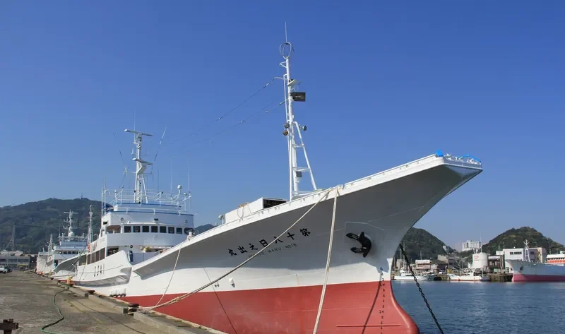 HINODE MARU NO.18 General Cargo IMO 9033294 photo 9