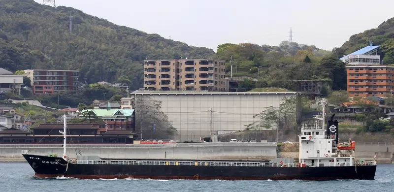 STAR GATE Bulk Carrier IMO 9033373