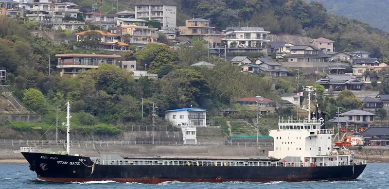 STAR GATE Bulk Carrier IMO 9033373 photo 2