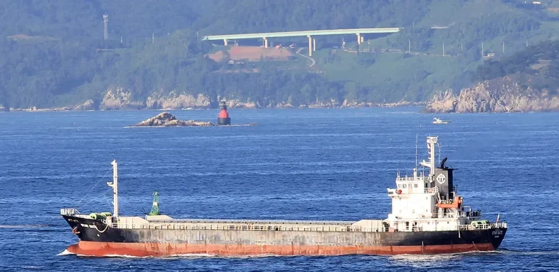 STAR GATE Bulk Carrier IMO 9033373 photo 4