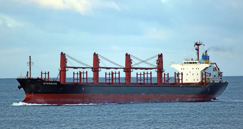 STAR GATE Bulk Carrier IMO 9033373 photo 9