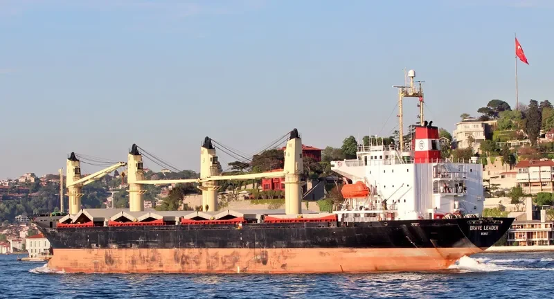 BRAVE LEADER Bulk Carrier IMO 9033505
